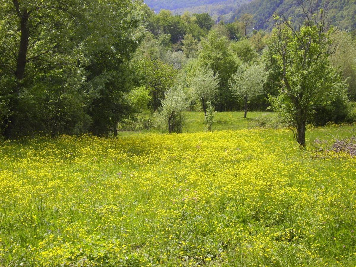 B&B Podere Bramapane Montelungo Superiore Zewnętrze zdjęcie